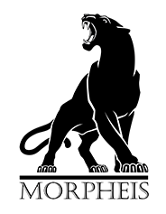 MORPHEIS CYBER SECURITY